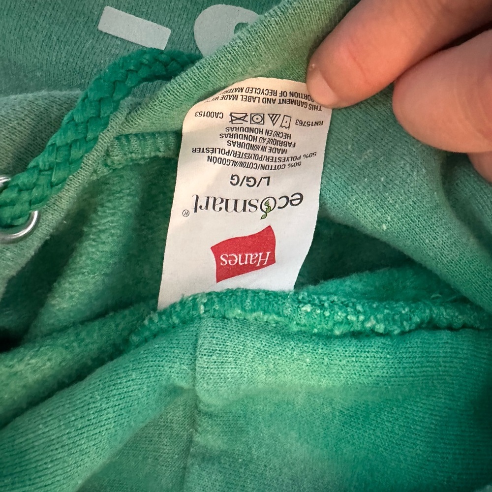 Philadelphia eagles Green 'Philly vs Everybody' Hoodie w patches sz M/L - Picture 2 of 2